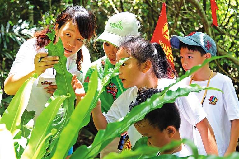 海南成暑期熱門目的地 市場潛力巨大產(chǎn)品待升級