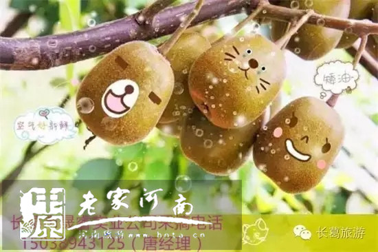 8¹ժLǍJ