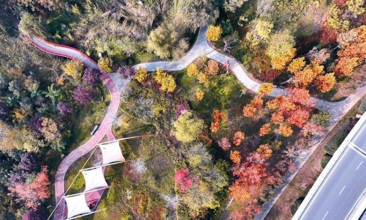 秦漢新城渭河北岸冬日盛景