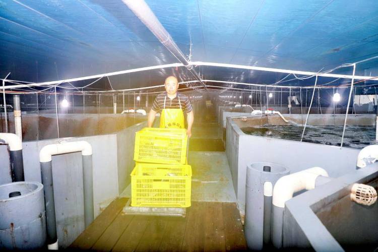 &ldquo;���~���B(y��ng)&rdquo;���d��ʯ���~�ɹ�����