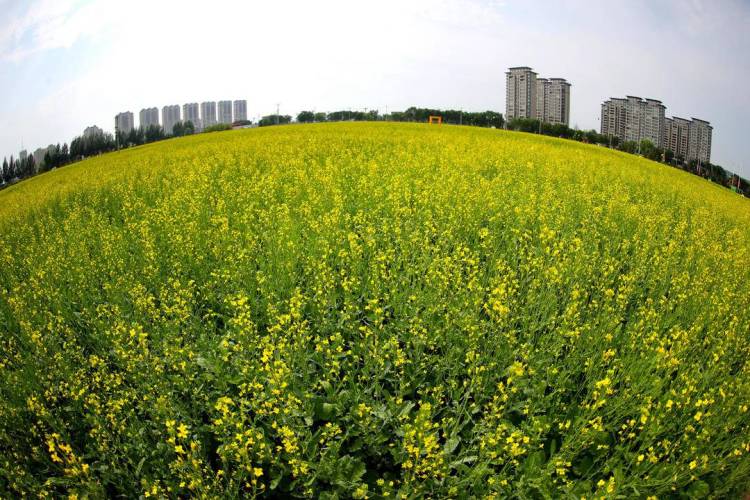 ��ꖳǅ^(q��)�ٮ��Ͳ˻����_