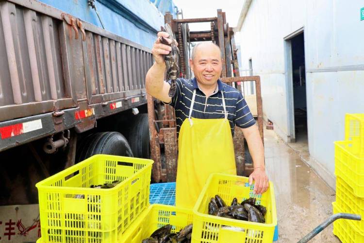 &ldquo;���~���B(y��ng)&rdquo;���d��ʯ���~�ɹ�����