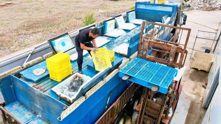 &ldquo;���~���B(y��ng)&rdquo;���d��ʯ���~�ɹ�����