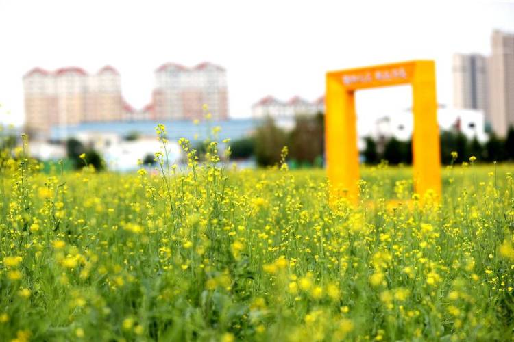 ��ꖳǅ^(q��)�ٮ��Ͳ˻����_