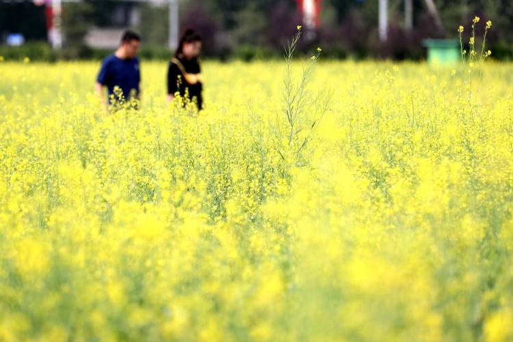 ��ꖳǅ^(q��)�ٮ��Ͳ˻����_