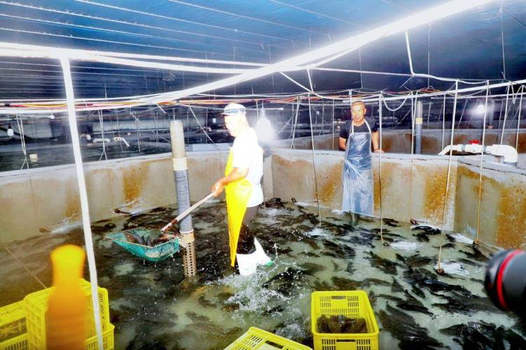 &ldquo;���~���B(y��ng)&rdquo;���d��ʯ���~�ɹ�����