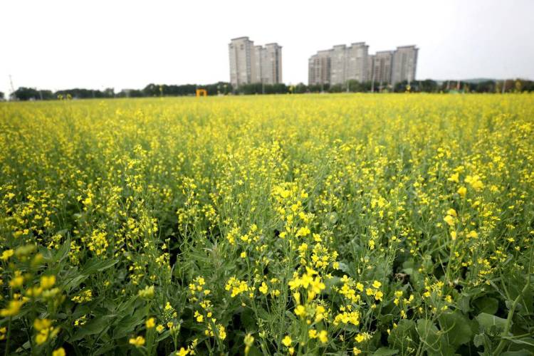 ��ꖳǅ^(q��)�ٮ��Ͳ˻����_