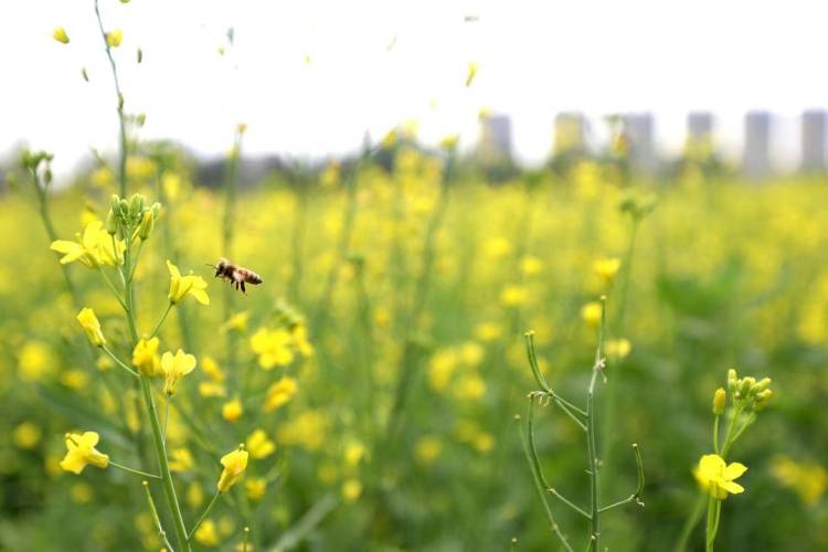 ��ꖳǅ^(q��)�ٮ��Ͳ˻����_