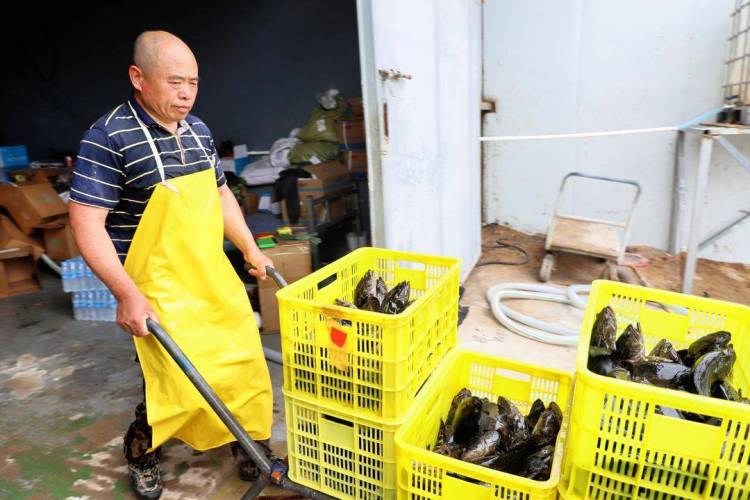 &ldquo;���~���B(y��ng)&rdquo;���d��ʯ���~�ɹ�����