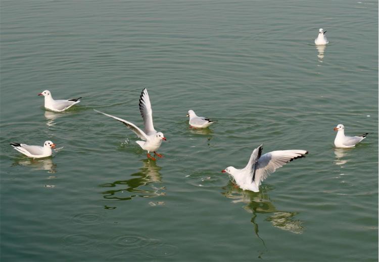 �����@��(l��i)�˼t���t