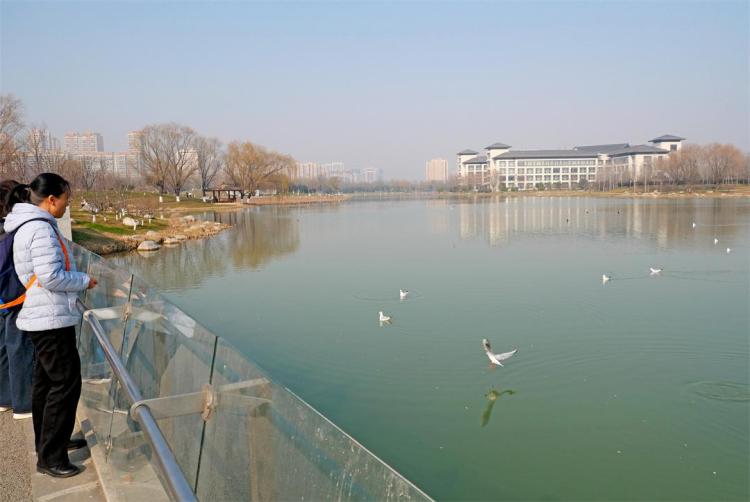 �����@��(l��i)�˼t���t