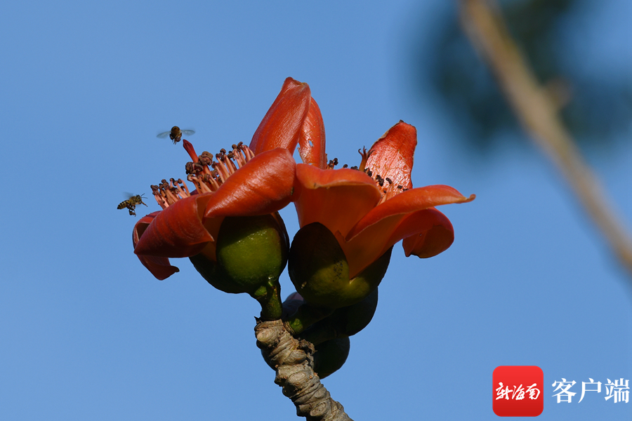ڣľ޾`Ŵ