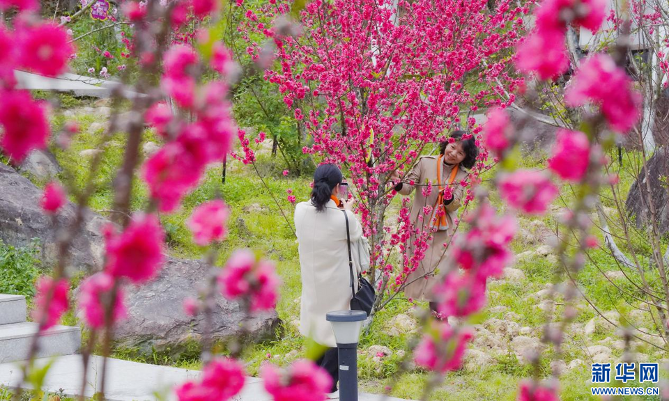 福建泉州：陽(yáng)春三月 春暖花開(kāi)