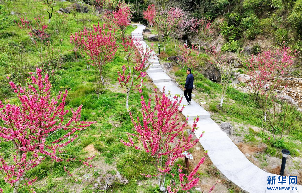 福建泉州：陽(yáng)春三月 春暖花開(kāi)