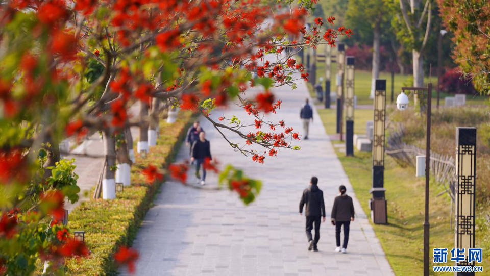 福建泉州：陽(yáng)春三月 春暖花開(kāi)