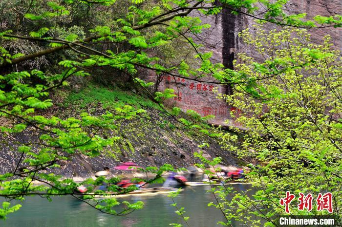 3月21日，武夷山國家公園滿目蒼翠，溪流蜿蜒，展示了人與自然和諧共生的美好畫卷�！≈行戮W(wǎng)記者 張斌 攝