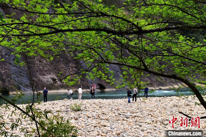 3月21日，游人在武夷山國家公園內(nèi)游玩。　中新網(wǎng)記者 張斌 攝