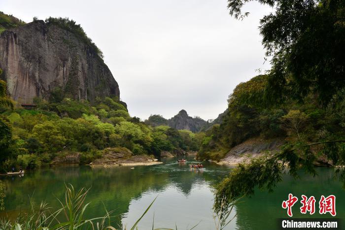 3月21日，主要范圍位于福建省南平市的武夷山國家公園滿目蒼翠，溪流蜿蜒，展示了人與自然和諧共生的美好畫卷�！≈行戮W(wǎng)記者 張斌 攝