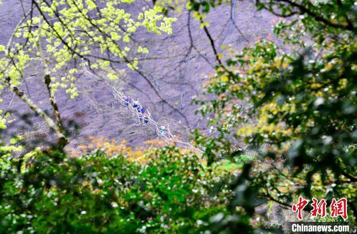 3月21日，游人在武夷山國家公園天游峰景區(qū)登山賞景�！≈行戮W(wǎng)記者 張斌 攝