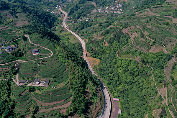 G246���e���B�h���@�ǹ�·�AӋ9�µ�ͨ܇_fororder_G246���B�h���@�ǹ�·-���D-���B�h��<a href=http://www.accident-animation.com target=_blank class=infotextkey>ý�w</a>����